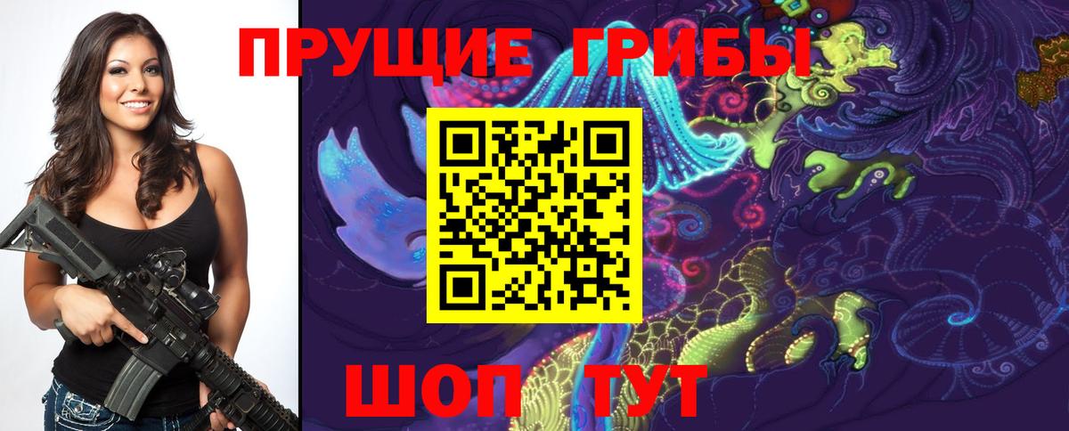 Псилоцибиновые грибы GOLDEN TEACHER Томск